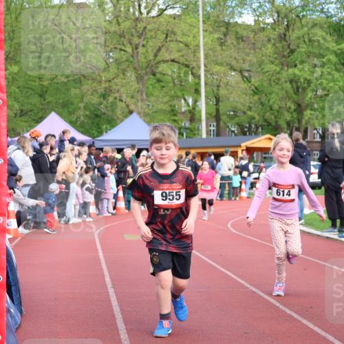 14.04.2024 - Hammer Lauf Strokosch-Dieckow http://msf.ph/oto/6070617 14.04.2024 09:53:14 Ziel 946, 1001, 1014, 1403 meine-sportfotos.de