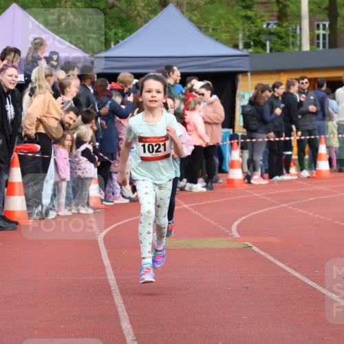 14.04.2024 - Hammer Lauf Strokosch-Dieckow http://msf.ph/oto/6070701 14.04.2024 09:53:26 Ziel 595, 614, 955 meine-sportfotos.de