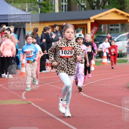 14.04.2024 - Hammer Lauf Strokosch-Dieckow http://msf.ph/oto/6070844 14.04.2024 09:53:51 Ziel 653, 839, 937, 1305 meine-sportfotos.de