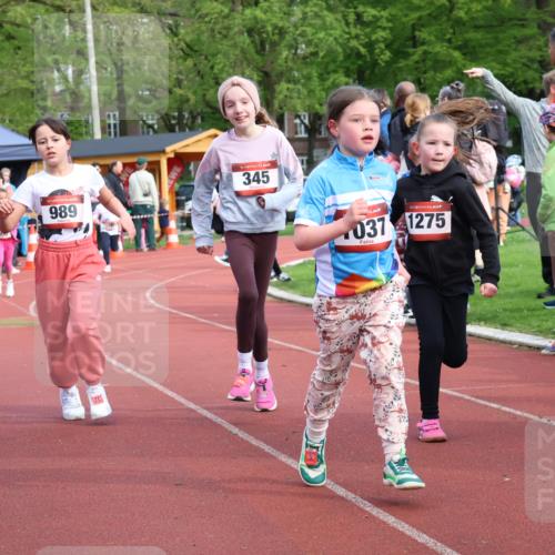 14.04.2024 - Hammer Lauf Strokosch-Dieckow http://msf.ph/oto/6070896 14.04.2024 09:53:57 Ziel 1029, 1300, 1305 meine-sportfotos.de