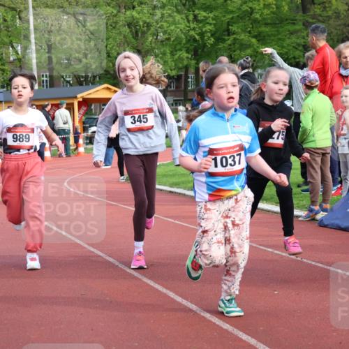 14.04.2024 - Hammer Lauf Strokosch-Dieckow http://msf.ph/oto/6070901 14.04.2024 09:53:57 Ziel 1029, 1300, 1305 meine-sportfotos.de