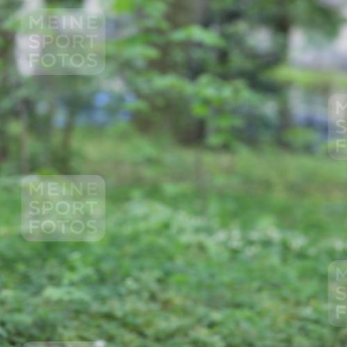 14.04.2024 - Hammer Lauf Fuchs,  Jonas http://msf.ph/oto/6071576 14.04.2024 09:54:01 Laufen  meine-sportfotos.de