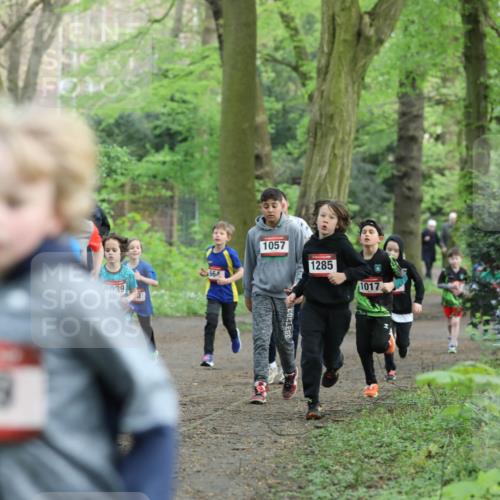 14.04.2024 - Hammer Lauf Fuchs,  Jonas http://msf.ph/oto/6095409 14.04.2024 09:49:41 Laufen 749, 1039, 664, 1057, 1285, 1017 meine-sportfotos.de