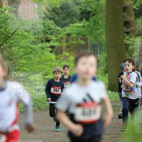 14.04.2024 - Hammer Lauf Fuchs,  Jonas http://msf.ph/oto/6095673 14.04.2024 09:50:15 Laufen 393, 972, 61017, 1136, 940 meine-sportfotos.de