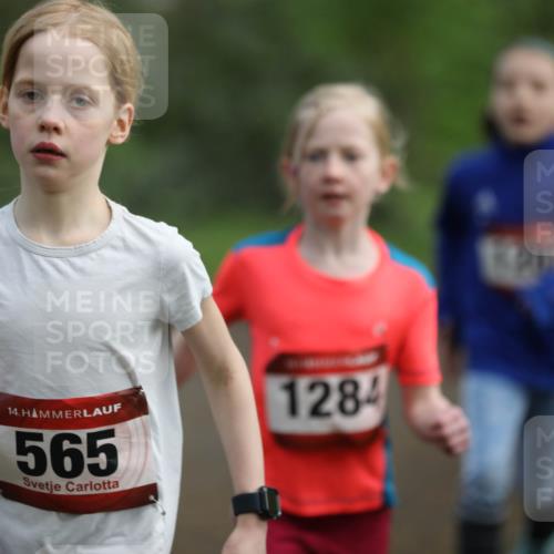 14.04.2024 - Hammer Lauf Fuchs,  Jonas http://msf.ph/oto/6095763 14.04.2024 09:50:29 Laufen 51, 14, 565, 1284 meine-sportfotos.de