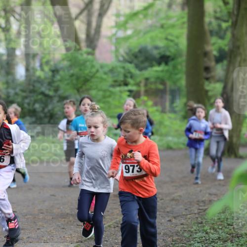 14.04.2024 - Hammer Lauf Fuchs,  Jonas http://msf.ph/oto/6096037 14.04.2024 09:51:08 Laufen 366, 973 meine-sportfotos.de