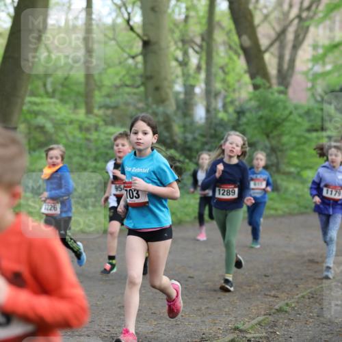14.04.2024 - Hammer Lauf Fuchs,  Jonas http://msf.ph/oto/6096053 14.04.2024 09:51:10 Laufen 973, 1289, 1226, 703 meine-sportfotos.de