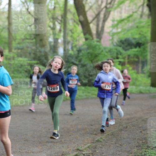 14.04.2024 - Hammer Lauf Fuchs,  Jonas http://msf.ph/oto/6096064 14.04.2024 09:51:10 Laufen 703, 1289, 411, 179, 1137 meine-sportfotos.de