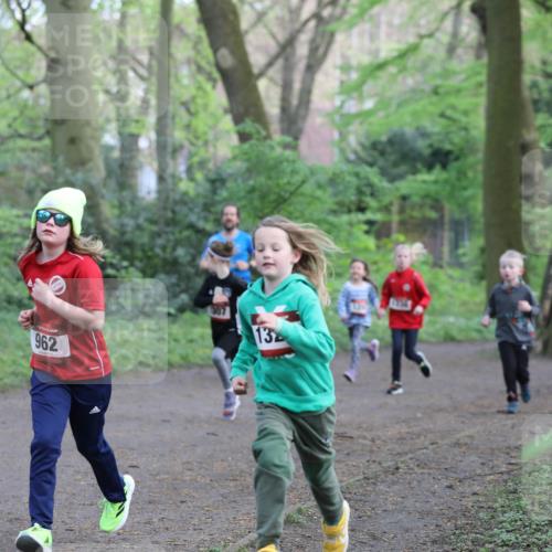 14.04.2024 - Hammer Lauf Fuchs,  Jonas http://msf.ph/oto/6096150 14.04.2024 09:51:17 Laufen 962, 307, 13 meine-sportfotos.de