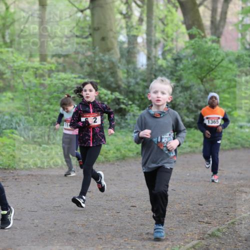 14.04.2024 - Hammer Lauf Fuchs,  Jonas http://msf.ph/oto/6096186 14.04.2024 09:51:22 Laufen 57, 1336, 1365 meine-sportfotos.de