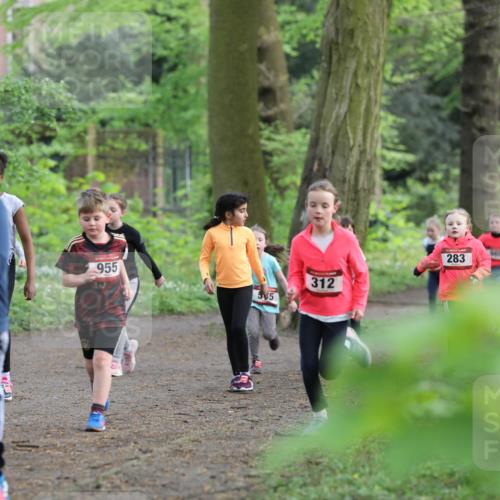 14.04.2024 - Hammer Lauf Fuchs,  Jonas http://msf.ph/oto/6096320 14.04.2024 09:51:40 Laufen 1033, 955, 5, 312, 283 meine-sportfotos.de