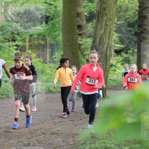 14.04.2024 - Hammer Lauf Fuchs,  Jonas http://msf.ph/oto/6096322 14.04.2024 09:51:40 Laufen 931, 400, 955, 312, 283 meine-sportfotos.de