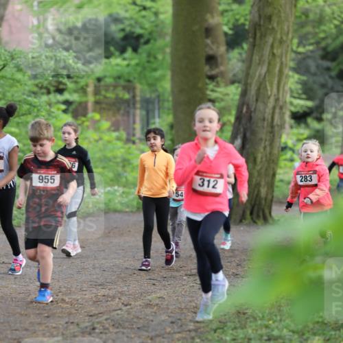 14.04.2024 - Hammer Lauf Fuchs,  Jonas http://msf.ph/oto/6096328 14.04.2024 09:51:40 Laufen 931, 15, 955, 54, 312, 283 meine-sportfotos.de