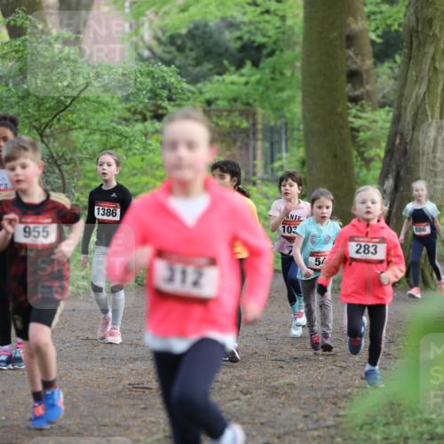 14.04.2024 - Hammer Lauf Fuchs,  Jonas http://msf.ph/oto/6096342 14.04.2024 09:51:42 Laufen 1386, 955, 112, 103, 5, 283, 886, 985 meine-sportfotos.de