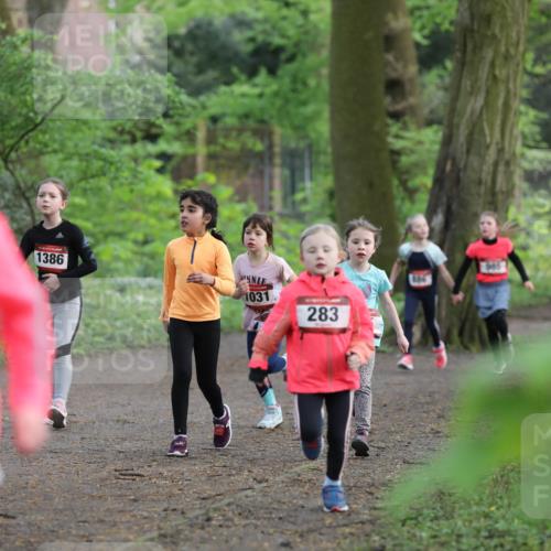 14.04.2024 - Hammer Lauf Fuchs,  Jonas http://msf.ph/oto/6096346 14.04.2024 09:51:42 Laufen 312, 1386, 647, 1031, 283 meine-sportfotos.de