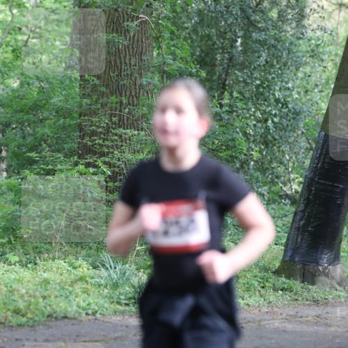 14.04.2024 - Hammer Lauf Fuchs,  Jonas http://msf.ph/oto/6096456 14.04.2024 09:51:59 Laufen  meine-sportfotos.de