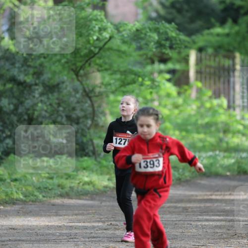 14.04.2024 - Hammer Lauf Fuchs,  Jonas http://msf.ph/oto/6096654 14.04.2024 09:52:35 Laufen 635, 1275, 1393, 3 meine-sportfotos.de