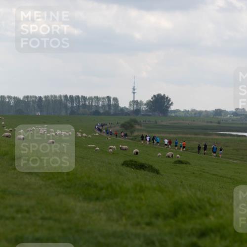 05.05.2024 - 7. Wedeler Halbmarathon Michael Strokosch http://msf.ph/oto/6221224 05.05.2024 11:22:52 Laufen  meine-sportfotos.de