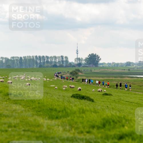 05.05.2024 - 7. Wedeler Halbmarathon Michael Strokosch http://msf.ph/oto/6221225 05.05.2024 11:22:52 Laufen  meine-sportfotos.de