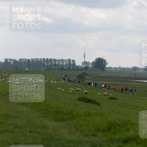 05.05.2024 - 7. Wedeler Halbmarathon Michael Strokosch http://msf.ph/oto/6221226 05.05.2024 11:22:52 Laufen  meine-sportfotos.de