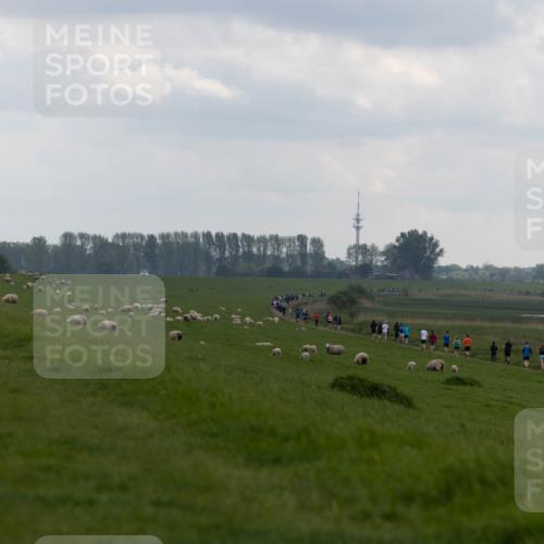 05.05.2024 - 7. Wedeler Halbmarathon Michael Strokosch http://msf.ph/oto/6221227 05.05.2024 11:22:53 Laufen  meine-sportfotos.de