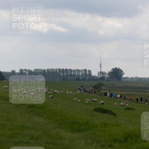 05.05.2024 - 7. Wedeler Halbmarathon Michael Strokosch http://msf.ph/oto/6221228 05.05.2024 11:22:54 Laufen  meine-sportfotos.de