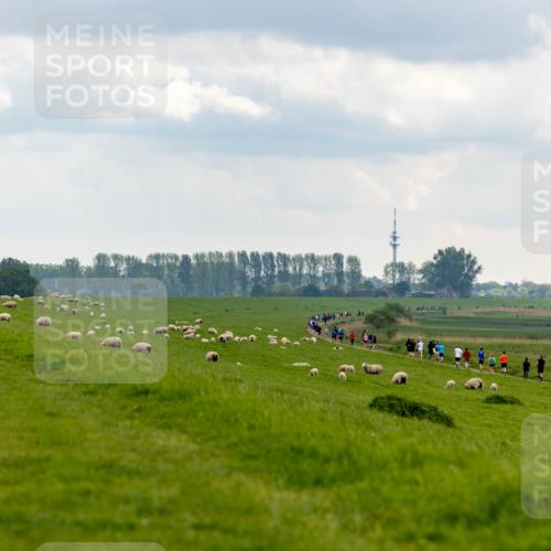 05.05.2024 - 7. Wedeler Halbmarathon Michael Strokosch http://msf.ph/oto/6221230 05.05.2024 11:22:54 Laufen  meine-sportfotos.de