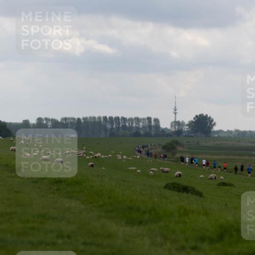 05.05.2024 - 7. Wedeler Halbmarathon Michael Strokosch http://msf.ph/oto/6221231 05.05.2024 11:22:55 Laufen  meine-sportfotos.de