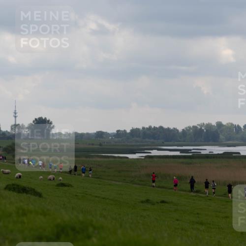 05.05.2024 - 7. Wedeler Halbmarathon Michael Strokosch http://msf.ph/oto/6221232 05.05.2024 11:22:57 Laufen  meine-sportfotos.de
