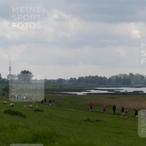 05.05.2024 - 7. Wedeler Halbmarathon Michael Strokosch http://msf.ph/oto/6221233 05.05.2024 11:22:57 Laufen  meine-sportfotos.de