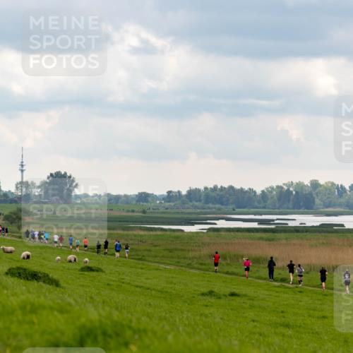 05.05.2024 - 7. Wedeler Halbmarathon Michael Strokosch http://msf.ph/oto/6221234 05.05.2024 11:22:57 Laufen  meine-sportfotos.de