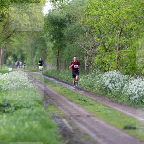05.05.2024 - 7. Wedeler Halbmarathon Michael Strokosch http://msf.ph/oto/6221262 05.05.2024 10:24:27 Laufen 369 meine-sportfotos.de