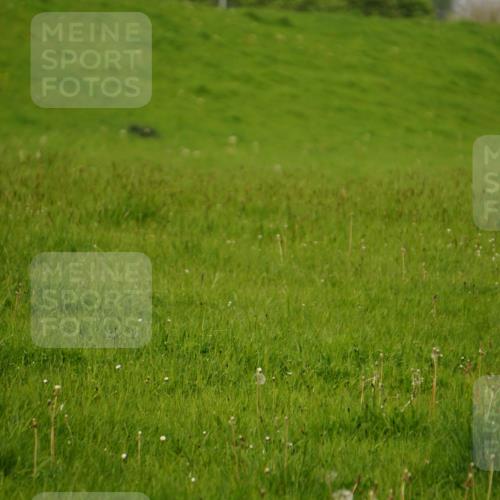05.05.2024 - 7. Wedeler Halbmarathon Fuchs,  Jonas http://msf.ph/oto/6232471 05.05.2024 11:11:46 Laufen  meine-sportfotos.de