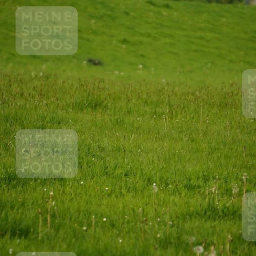 05.05.2024 - 7. Wedeler Halbmarathon Fuchs,  Jonas http://msf.ph/oto/6232472 05.05.2024 11:11:46 Laufen  meine-sportfotos.de