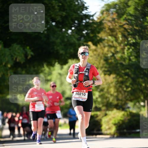 08.06.2024 - REWE Women's Run Dr. Thomas Lammeyer http://msf.ph/oto/6242887 09.06.2024 09:16:31 Laufen 10210 meine-sportfotos.de