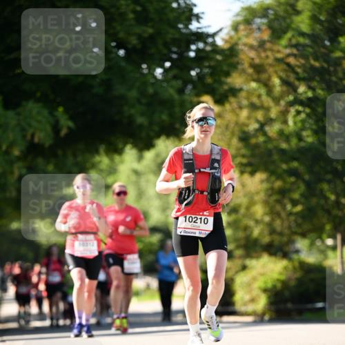 08.06.2024 - REWE Women's Run Dr. Thomas Lammeyer http://msf.ph/oto/6242888 09.06.2024 09:16:32 Laufen 10312, 10210 meine-sportfotos.de