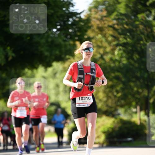 08.06.2024 - REWE Women's Run Dr. Thomas Lammeyer http://msf.ph/oto/6242890 09.06.2024 09:16:32 Laufen 10210 meine-sportfotos.de