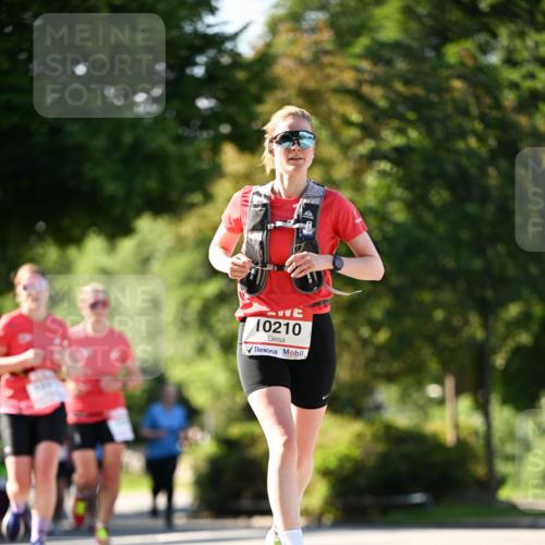 08.06.2024 - REWE Women's Run Dr. Thomas Lammeyer http://msf.ph/oto/6242892 09.06.2024 09:16:32 Laufen 10210 meine-sportfotos.de