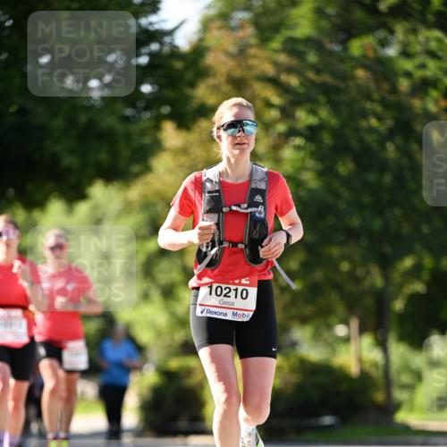 08.06.2024 - REWE Women's Run Dr. Thomas Lammeyer http://msf.ph/oto/6242893 09.06.2024 09:16:32 Laufen 10210 meine-sportfotos.de