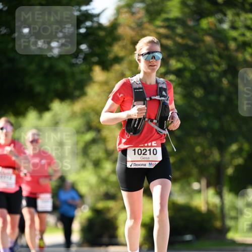 08.06.2024 - REWE Women's Run Dr. Thomas Lammeyer http://msf.ph/oto/6242894 09.06.2024 09:16:32 Laufen 10210 meine-sportfotos.de