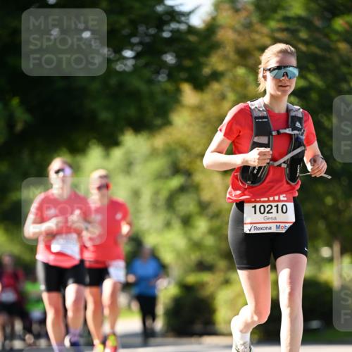 08.06.2024 - REWE Women's Run Dr. Thomas Lammeyer http://msf.ph/oto/6242895 09.06.2024 09:16:32 Laufen 10210 meine-sportfotos.de