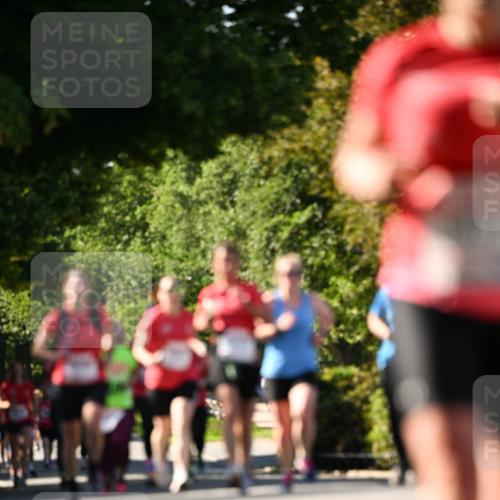 08.06.2024 - REWE Women's Run Dr. Thomas Lammeyer http://msf.ph/oto/6242914 09.06.2024 09:16:36 Laufen  meine-sportfotos.de
