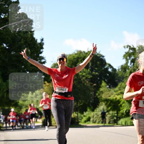 08.06.2024 - REWE Women's Run Dr. Thomas Lammeyer http://msf.ph/oto/6243173 09.06.2024 09:17:26 Laufen 10603 meine-sportfotos.de