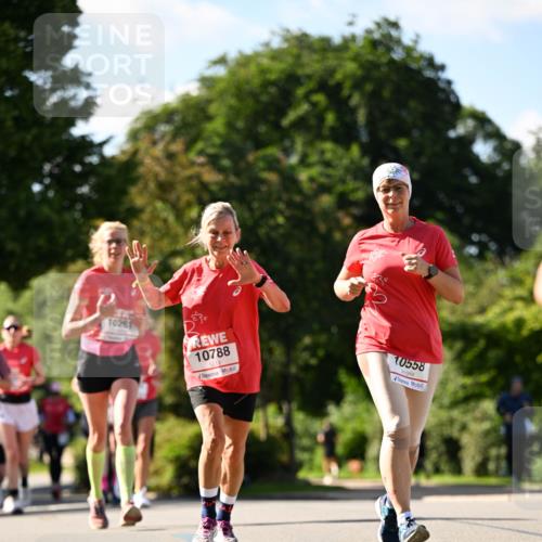 08.06.2024 - REWE Women's Run Dr. Thomas Lammeyer http://msf.ph/oto/6243402 09.06.2024 09:18:05 Laufen 10261, 10788, 10558 meine-sportfotos.de
