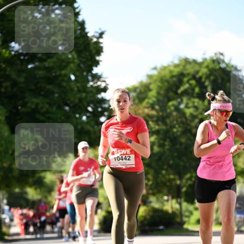 08.06.2024 - REWE Women's Run Dr. Thomas Lammeyer http://msf.ph/oto/6243460 09.06.2024 09:18:17 Laufen 10442 meine-sportfotos.de