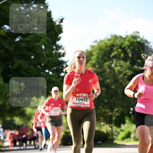 08.06.2024 - REWE Women's Run Dr. Thomas Lammeyer http://msf.ph/oto/6243462 09.06.2024 09:18:17 Laufen 10442 meine-sportfotos.de
