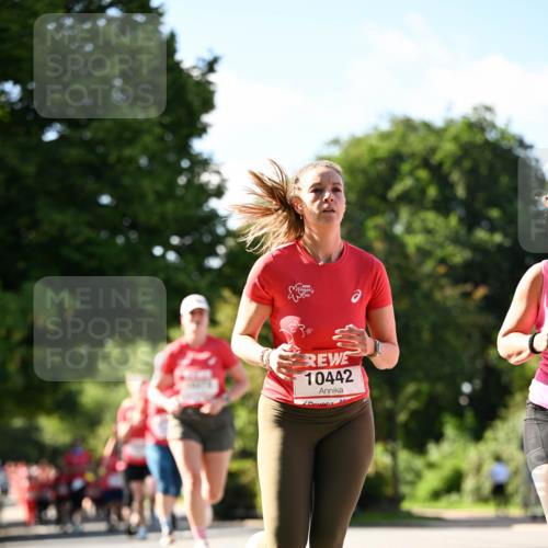 08.06.2024 - REWE Women's Run Dr. Thomas Lammeyer http://msf.ph/oto/6243464 09.06.2024 09:18:17 Laufen 90, 10442 meine-sportfotos.de