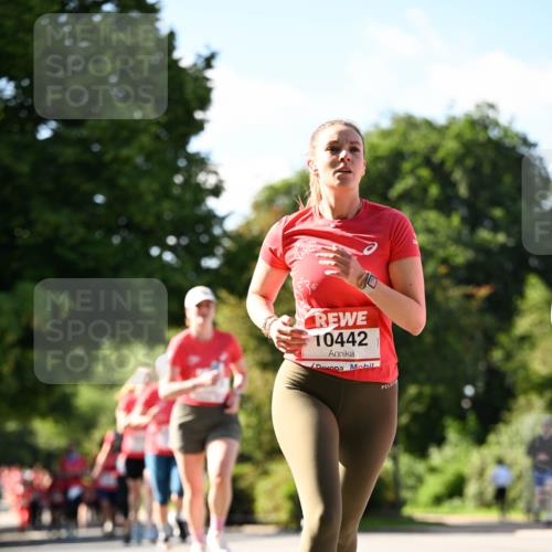 08.06.2024 - REWE Women's Run Dr. Thomas Lammeyer http://msf.ph/oto/6243465 09.06.2024 09:18:17 Laufen 10442 meine-sportfotos.de