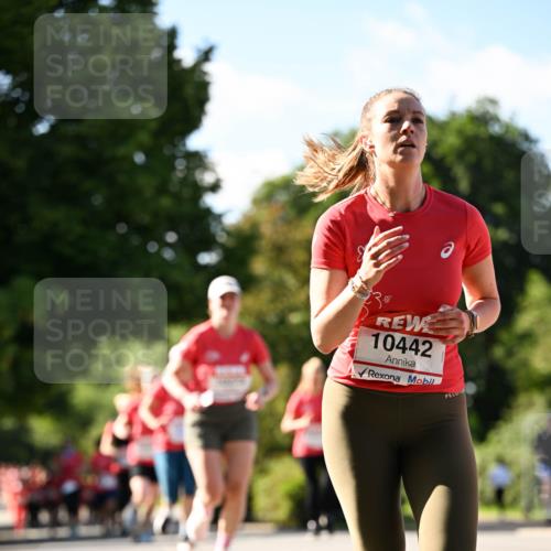 08.06.2024 - REWE Women's Run Dr. Thomas Lammeyer http://msf.ph/oto/6243467 09.06.2024 09:18:18 Laufen 10442 meine-sportfotos.de