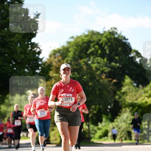 08.06.2024 - REWE Women's Run Dr. Thomas Lammeyer http://msf.ph/oto/6243472 09.06.2024 09:18:19 Laufen 10273 meine-sportfotos.de